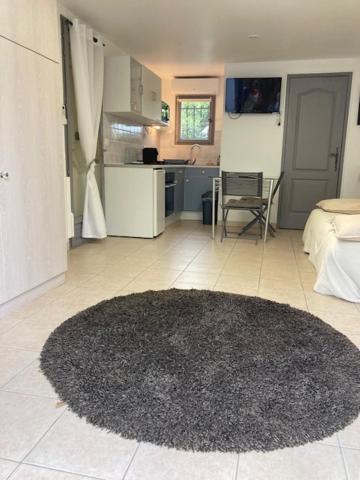 Studio Pied Dans L Eau La Londe-les-Maures Eksteriør bilde